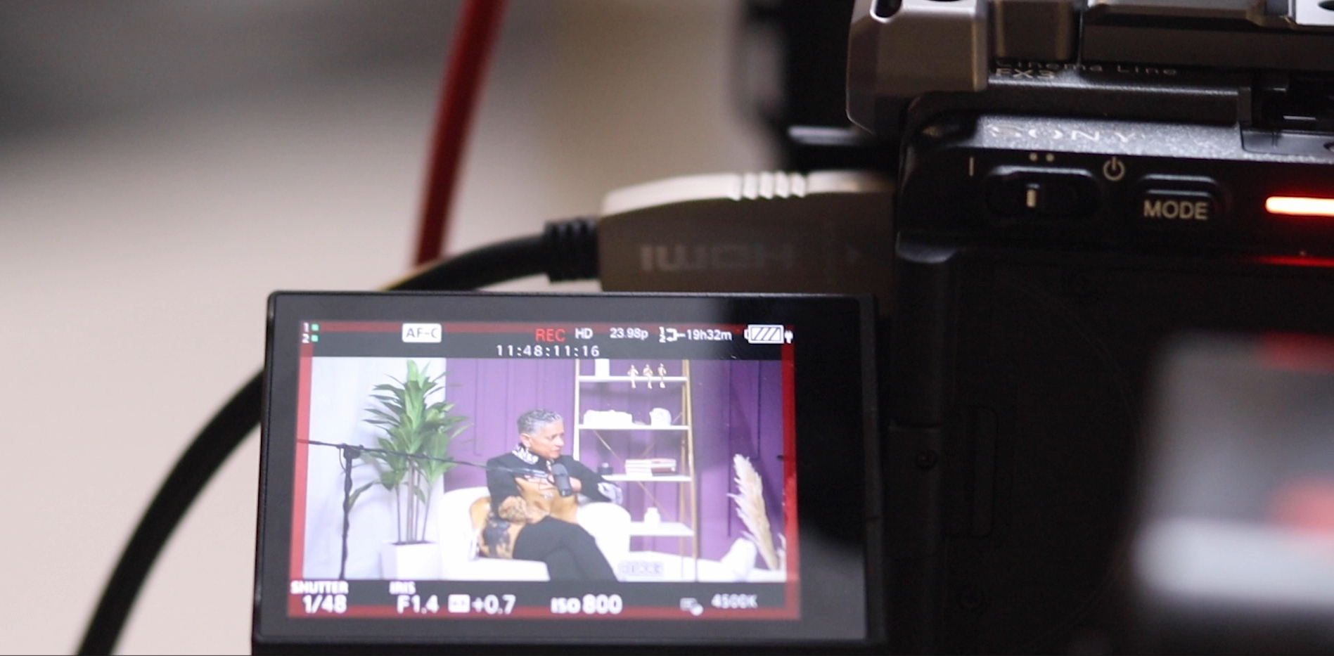 Purple Set Light Test